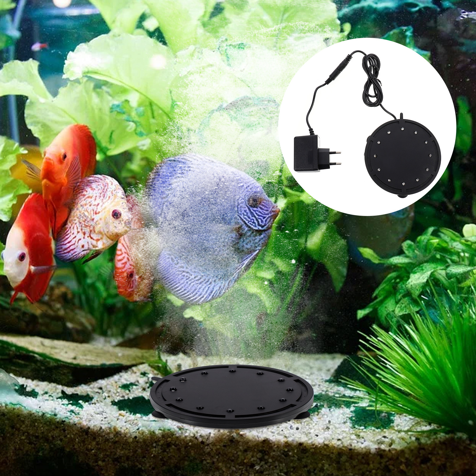 Aquarium Fish Quality - Fish Tank Air Bubble Light Aquarium