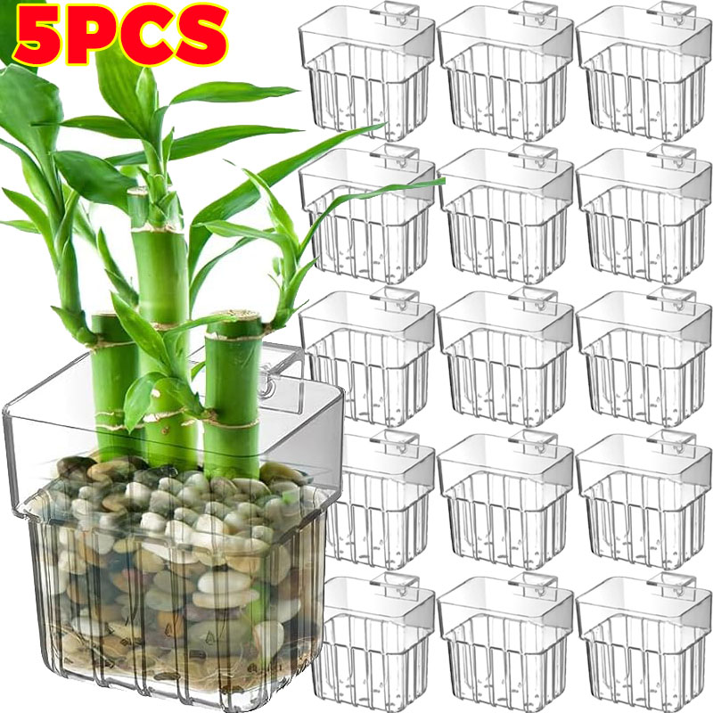 Aquarium Fish Buy - 1/5pcs Aquarium Decoration Plant Cup Transparent