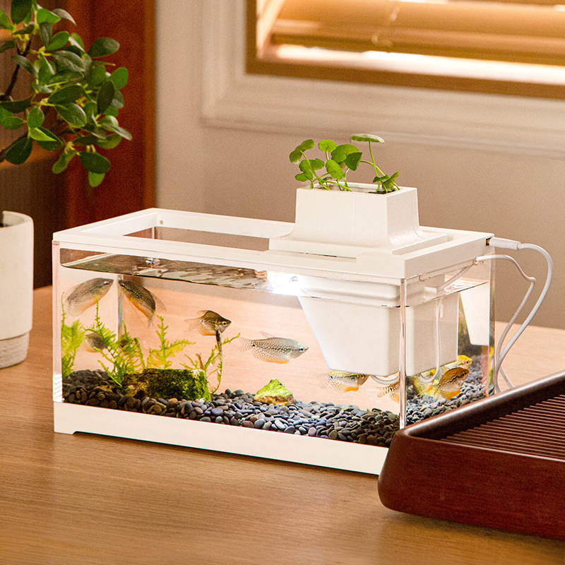 Aquarium Fish Discus - Fish Tank Aquarium Kits with Water