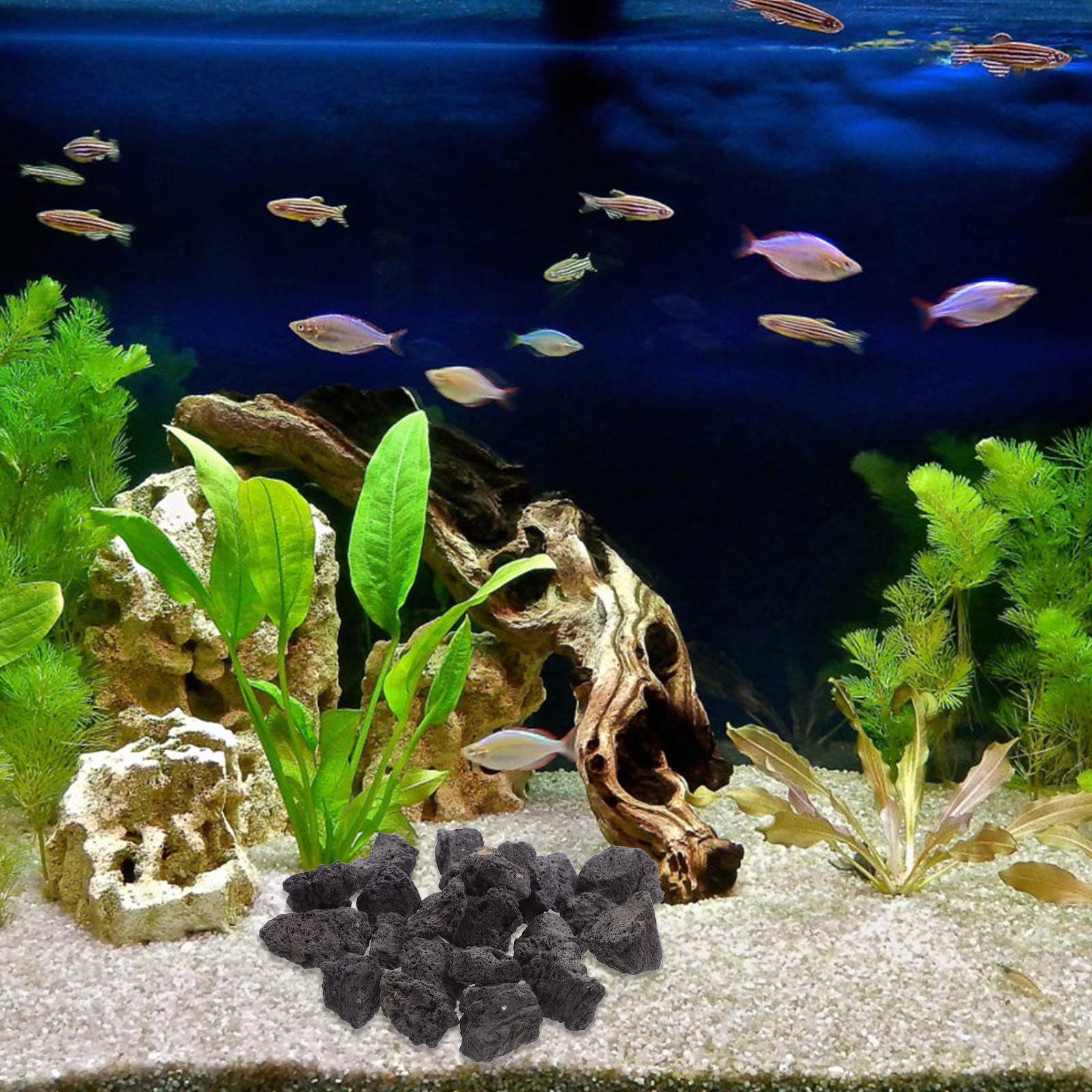 Aquarium Fish Pot - 1Pack Volcanic Rocks Natural Lava Stones