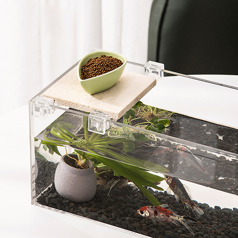 4PCS Acrylic Fish Tank Cover H - Aquarium Fish Buy บทวิจารณ์และราคา