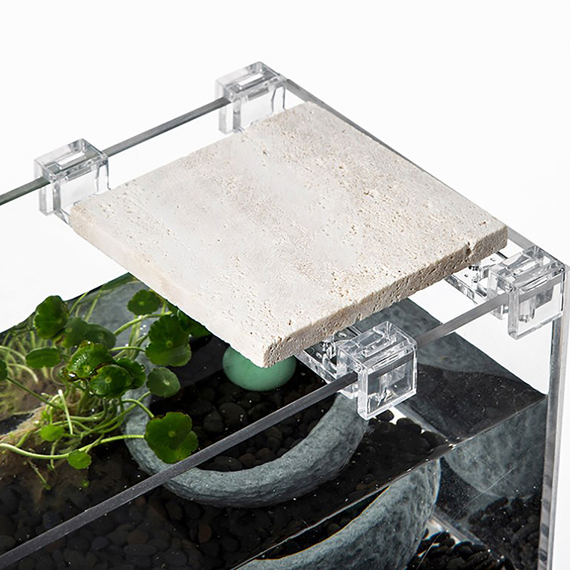 4PCS Acrylic Fish Tank Cover H - Aquarium Fish Buy บทวิจารณ์และราคา