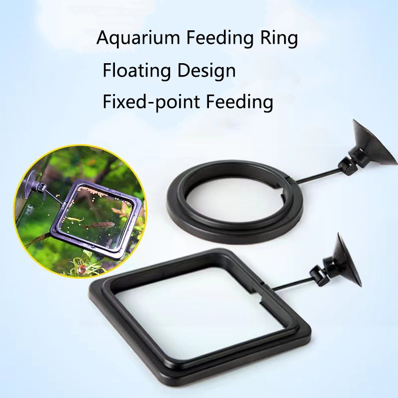 Square Fish Feeding Circle Aqu - Aquarium Fish Medicine บทวิจารณ์และราคา