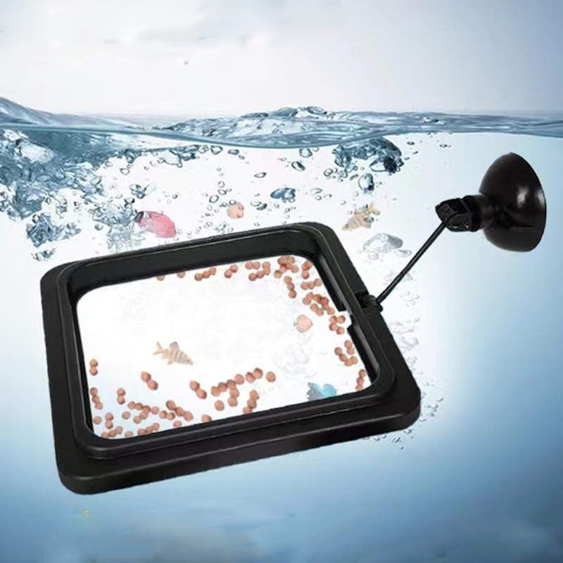 Square Fish Feeding Circle Aqu - Aquarium Fish Medicine บทวิจารณ์และราคา