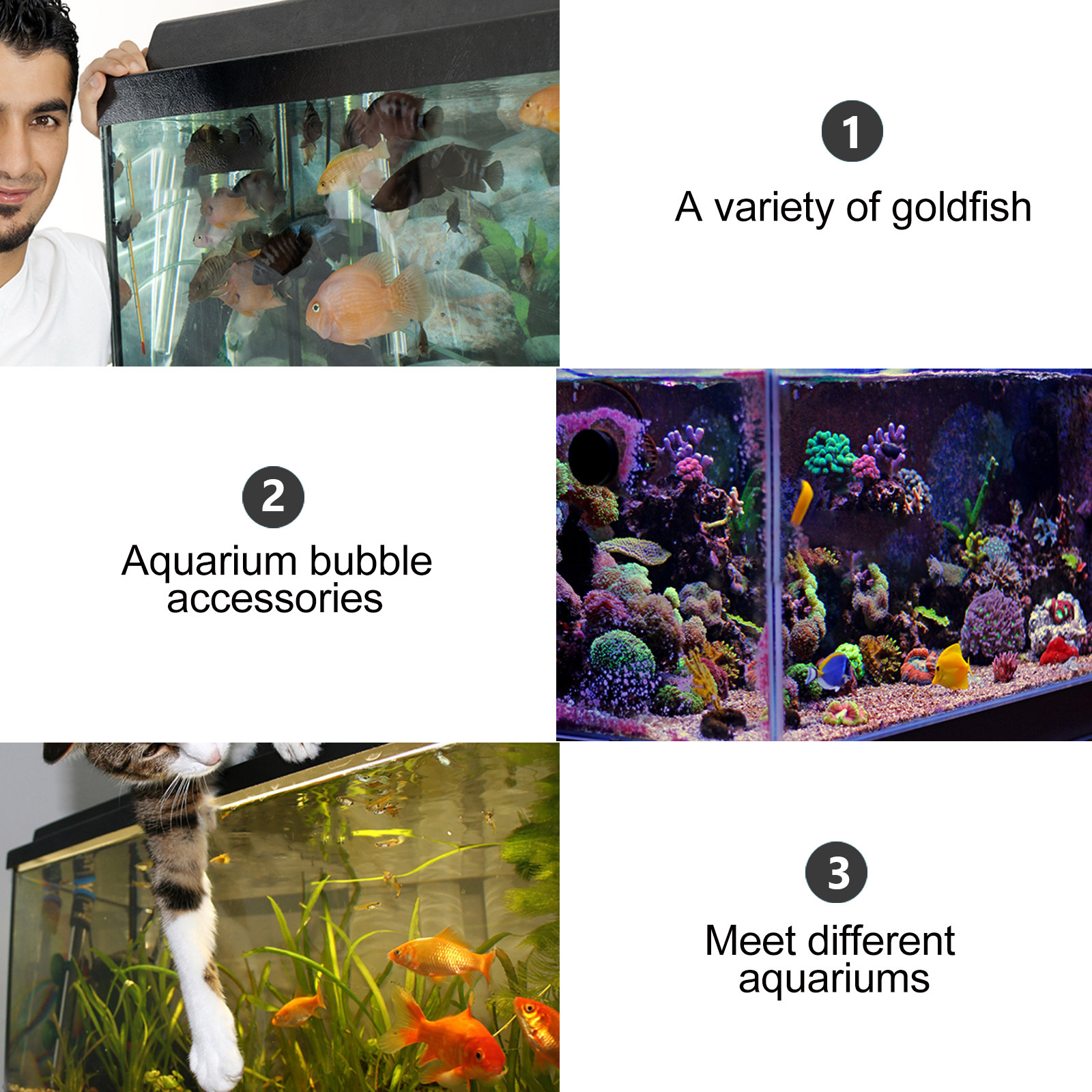 1Pcs Air Bubble Stone Aquarium - Aquarium Fish Discus บทวิจารณ์และราคา