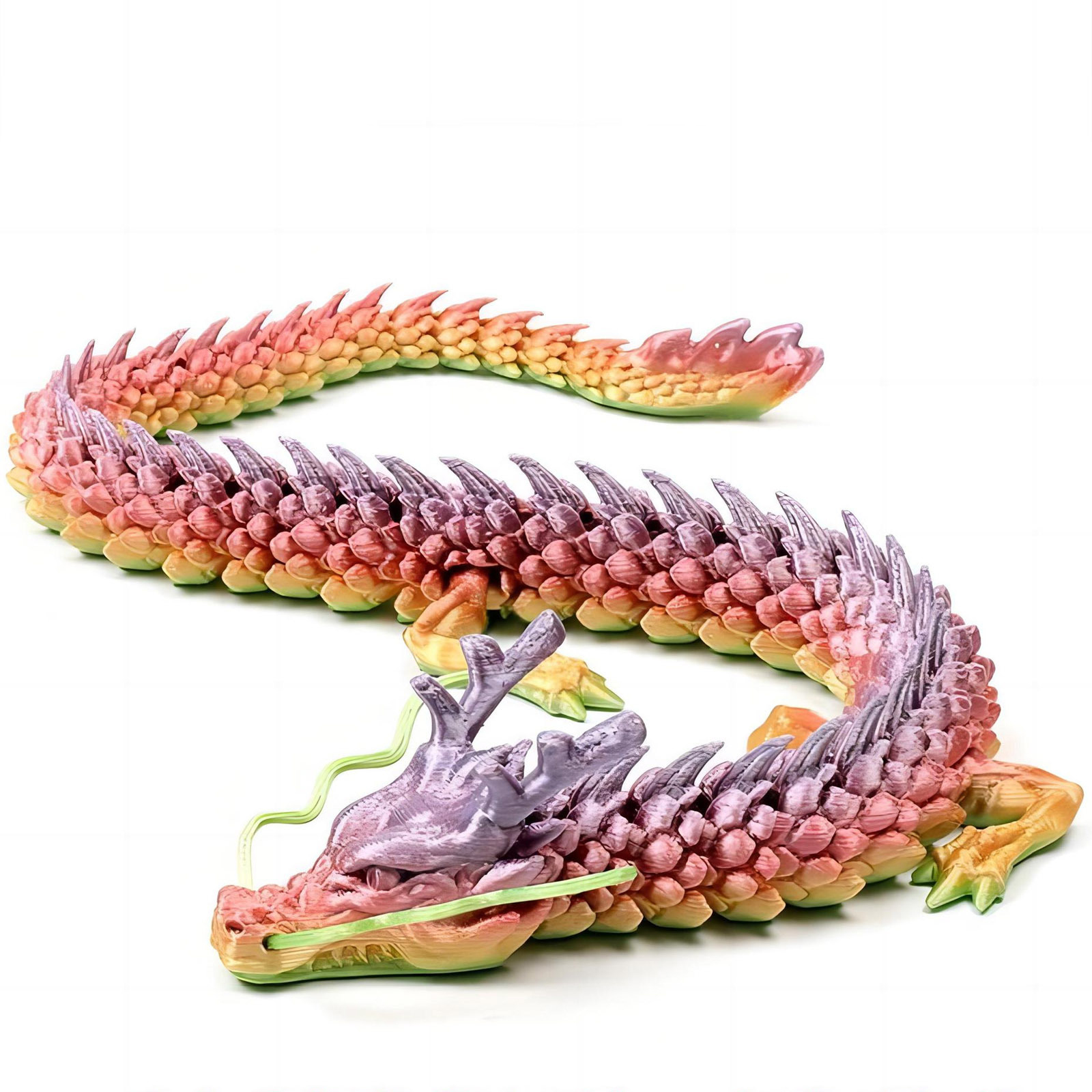3D Printed Conjoined Dragon Or - Aquarium Fish Buy บทวิจารณ์และราคา