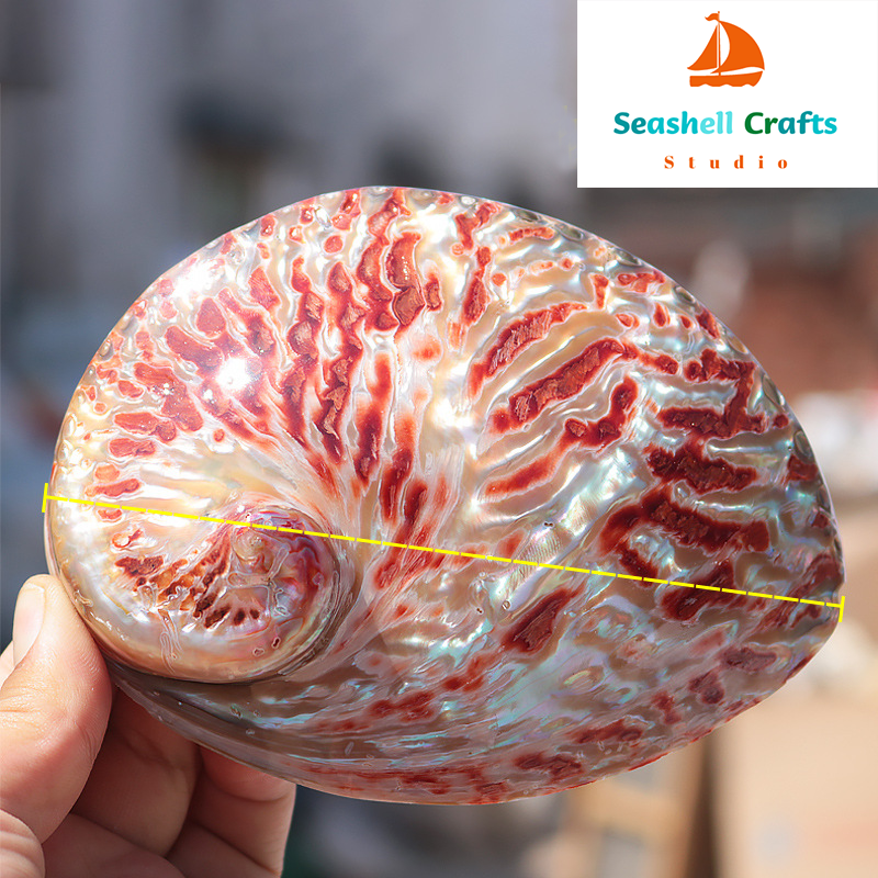 Home Decoration Red Pattern Ab - Aquarium Fish Buy บทวิจารณ์และราคา