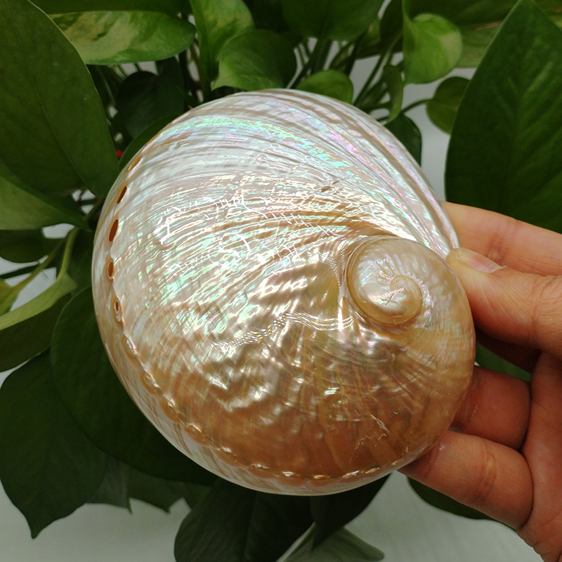 Home Decoration Red Pattern Ab - Aquarium Fish Buy บทวิจารณ์และราคา