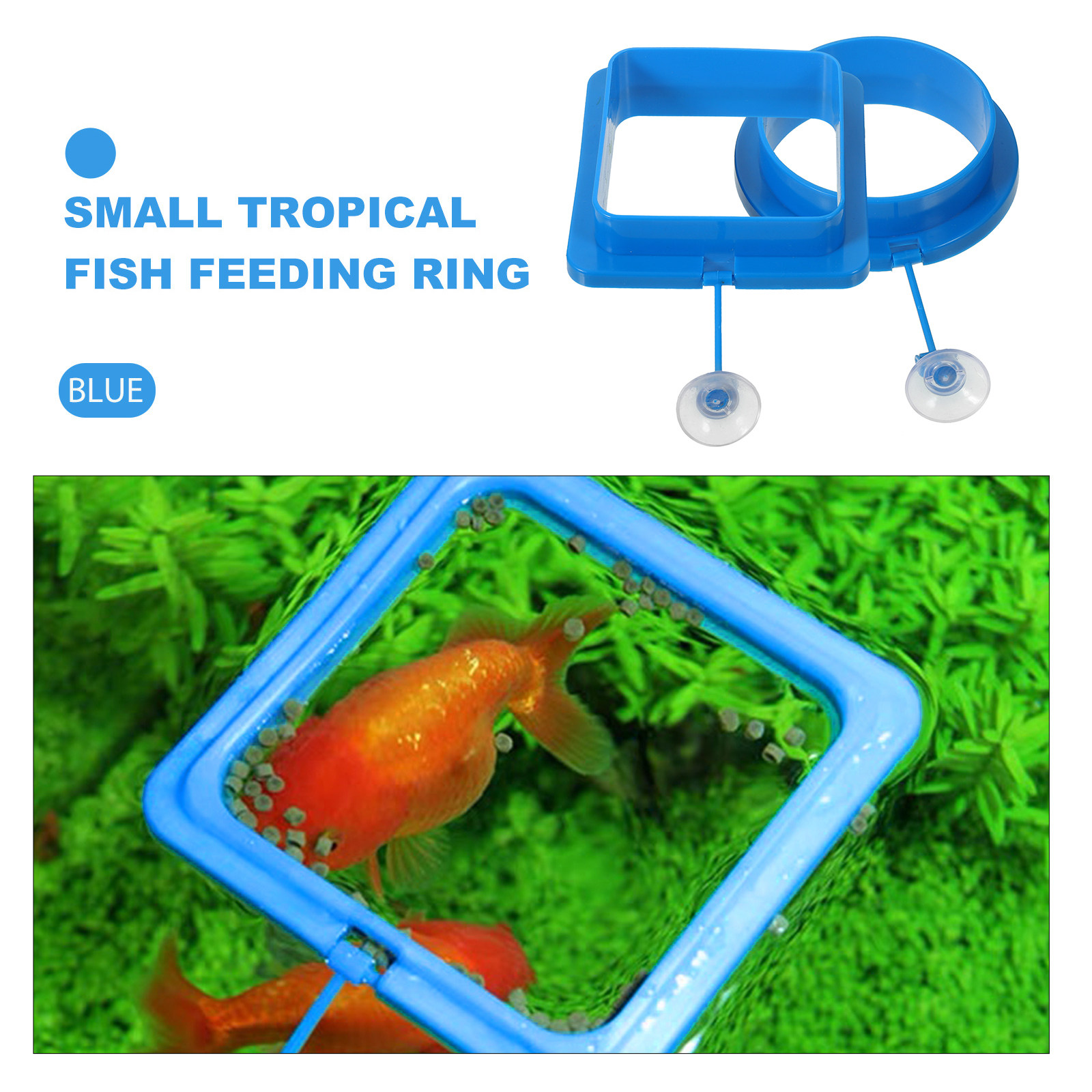 2Pcs Double Layer Fish Feeding - Fish Food Flake บทวิจารณ์และราคา
