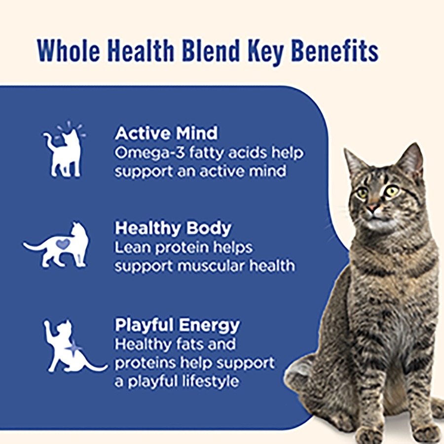 Grain-Free Wet Cat Food for In - Fish Food Flake บทวิจารณ์และราคา