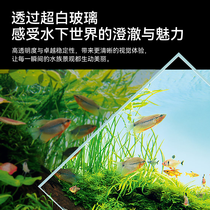 Fish tank living room 2025 new - Aquarium Fish Dragon บทวิจารณ์และราคา