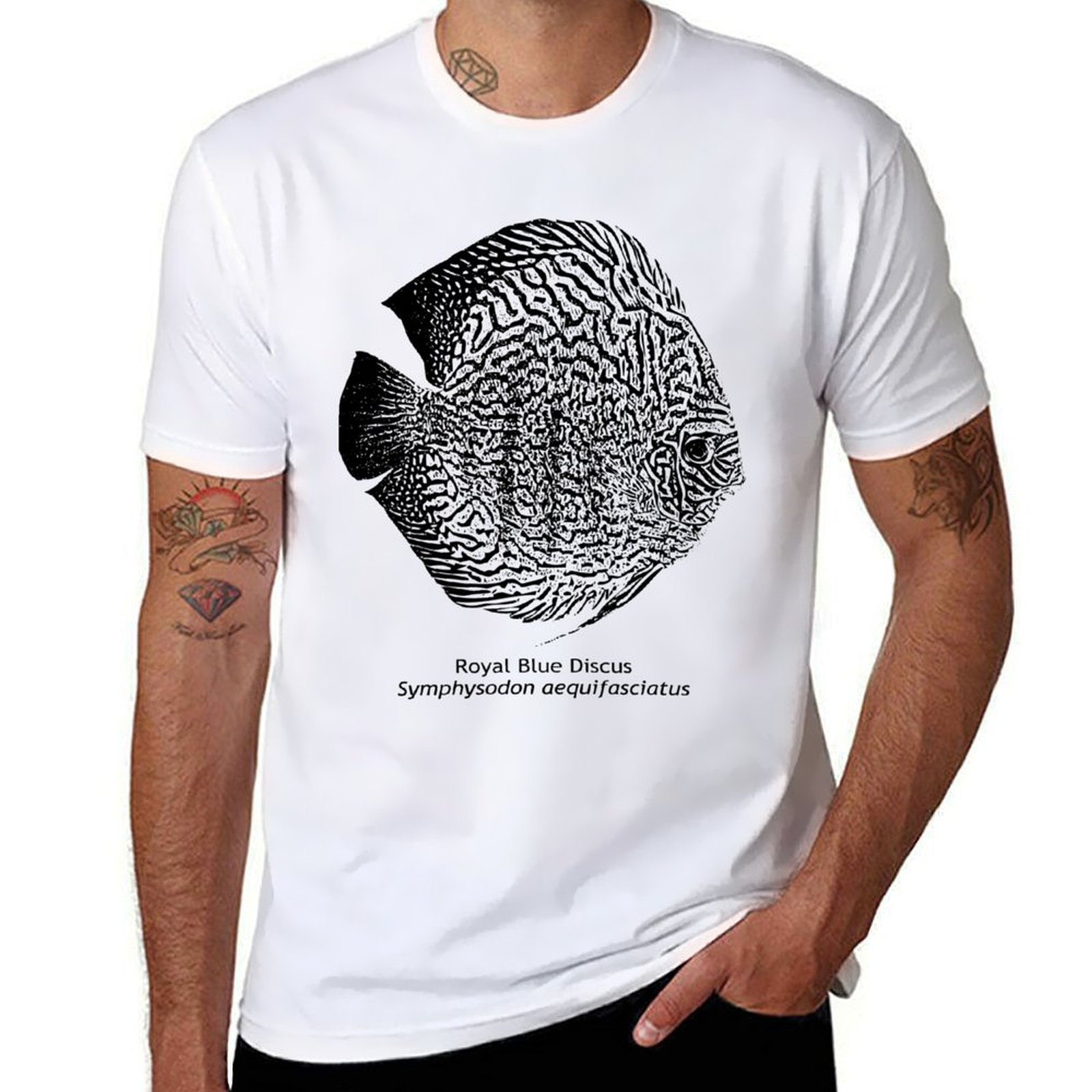 Blue Discus Fish Design Royal  - Aquarium Fish Discus บทวิจารณ์และราคา