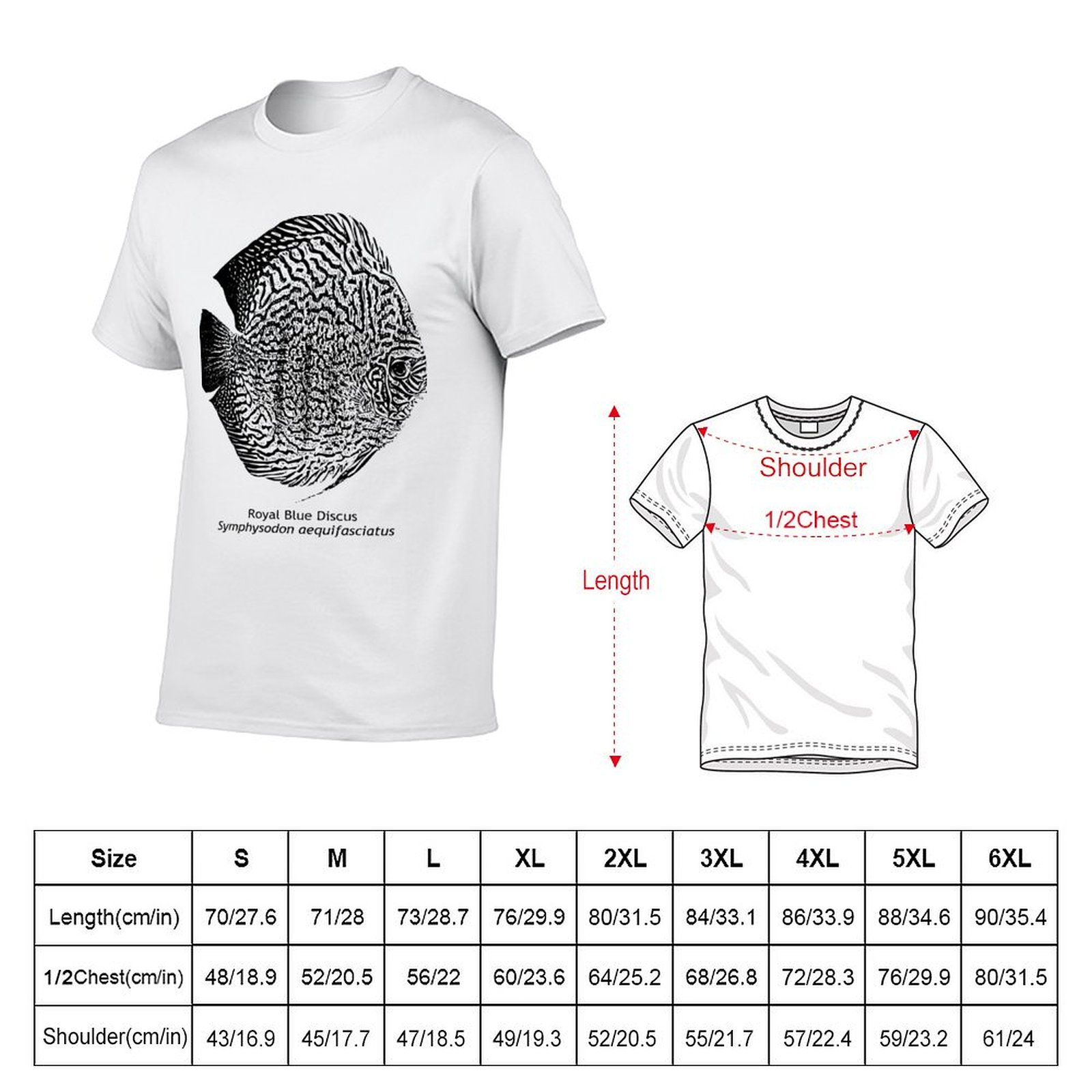 Blue Discus Fish Design Royal  - Aquarium Fish Discus บทวิจารณ์และราคา