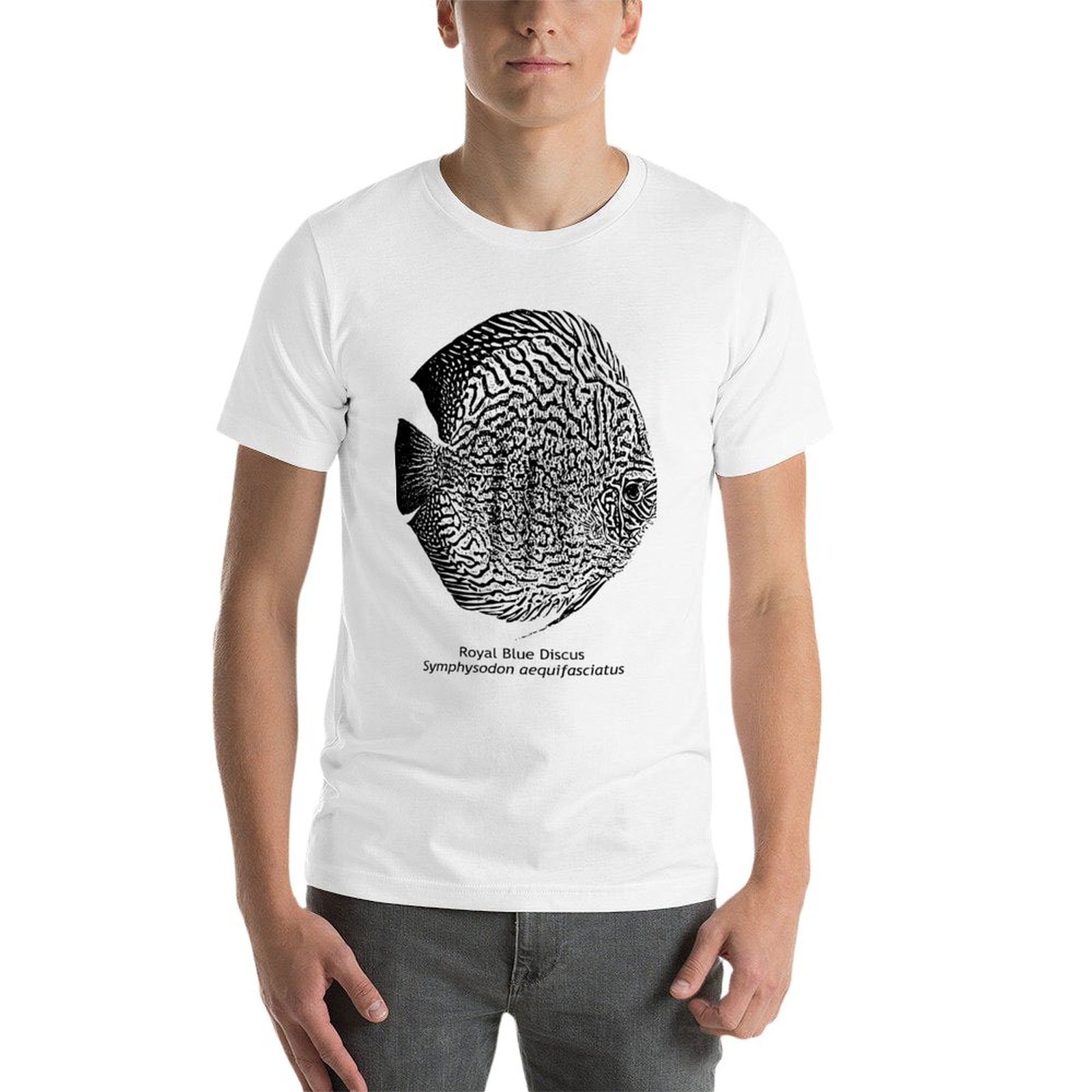 Blue Discus Fish Design Royal  - Aquarium Fish Discus บทวิจารณ์และราคา