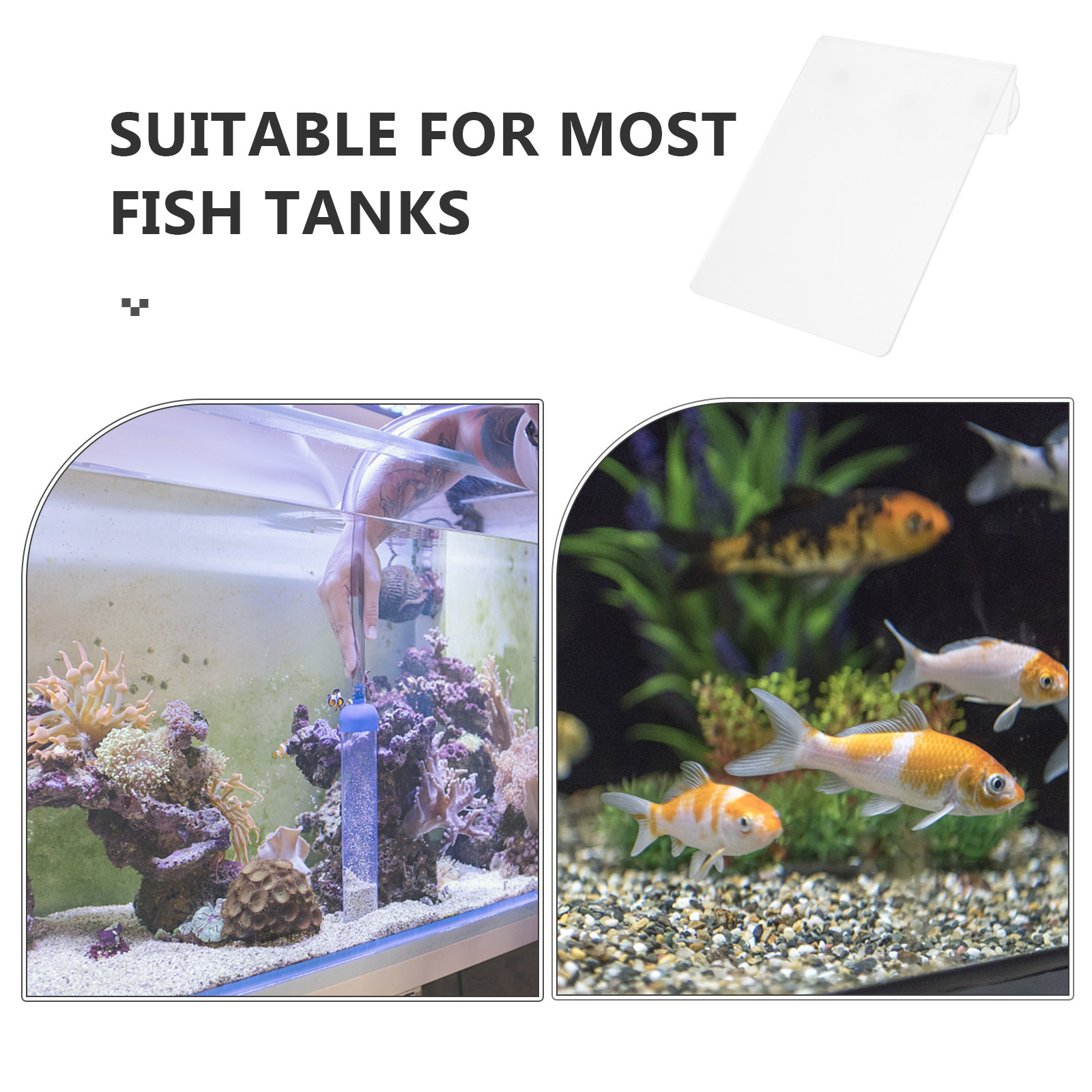 Removable Fish Breeding Lightw - Aquarium Fish Discus บทวิจารณ์และราคา