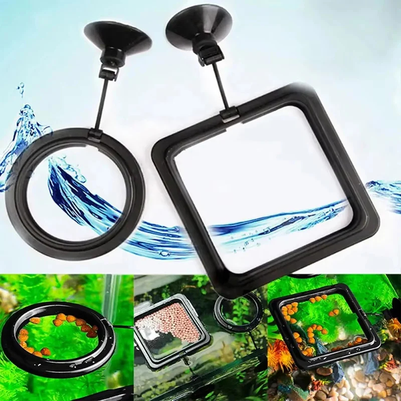 1-5pcs Aquarium Feeding Ring F - Aquarium Fish Medicine บทวิจารณ์และราคา