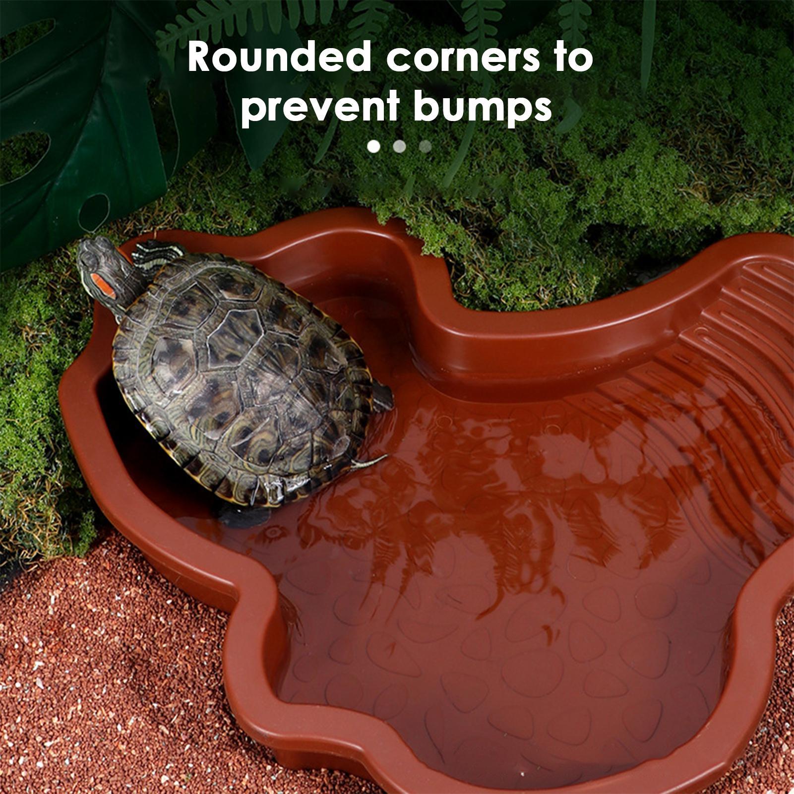 Reptile Bathing Pool Aquarium  - Aquarium Fish Dragon บทวิจารณ์และราคา