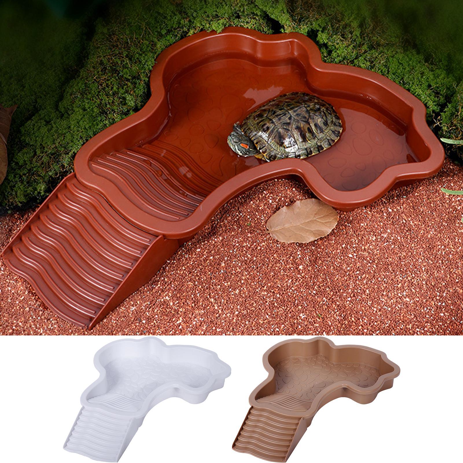 Reptile Bathing Pool Aquarium  - Aquarium Fish Dragon บทวิจารณ์และราคา