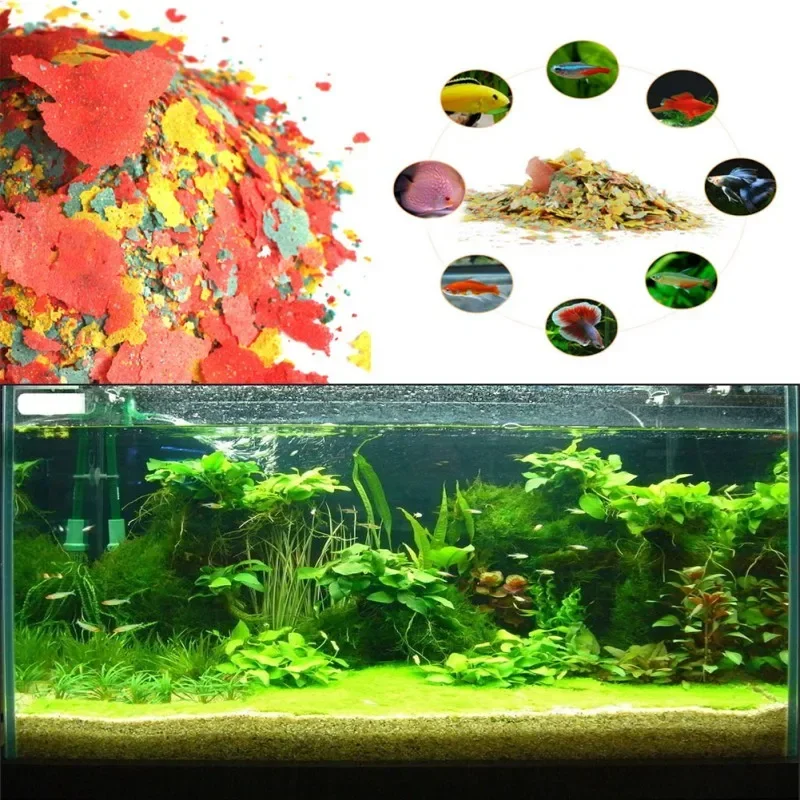 Fish Food Coloring and Brighte - Fish Food Flake บทวิจารณ์และราคา