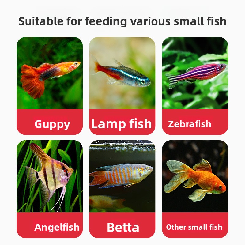 DEERA Tropical Fish Flakes, Un - Fish Food Flake บทวิจารณ์และราคา