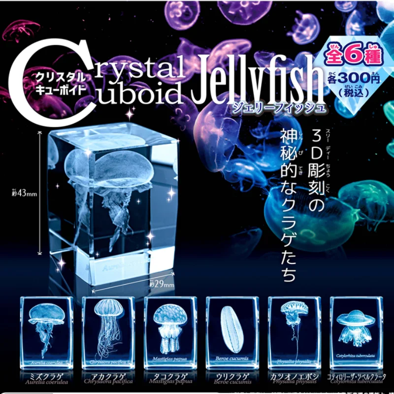 Japan Gashapon Jellyfish 3D Cr - Aquarium Fish Discus บทวิจารณ์และราคา