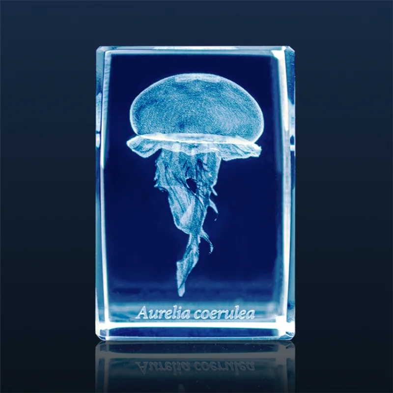 Japan Gashapon Jellyfish 3D Cr - Aquarium Fish Discus บทวิจารณ์และราคา