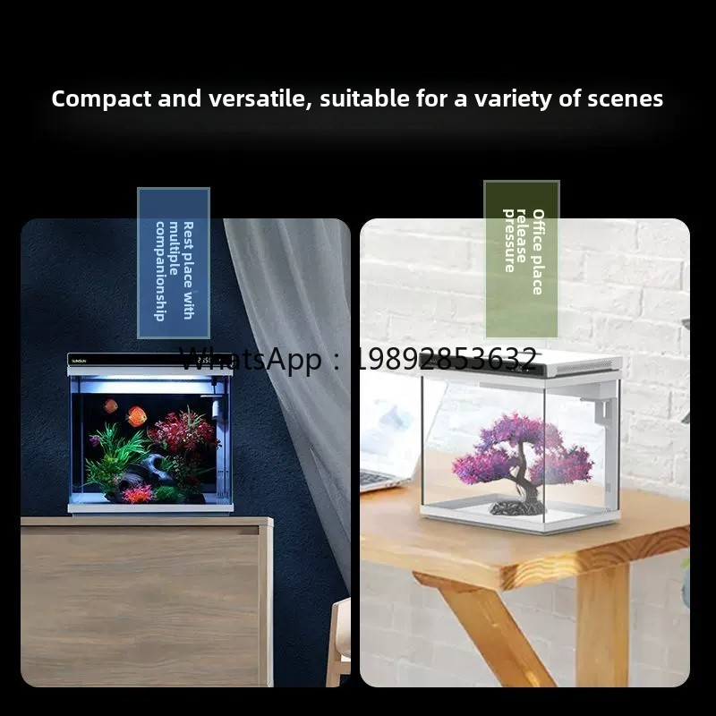 YGG  ultra-white glass small f - Aquarium Fish Without Oxygen บทวิจารณ์และราคา