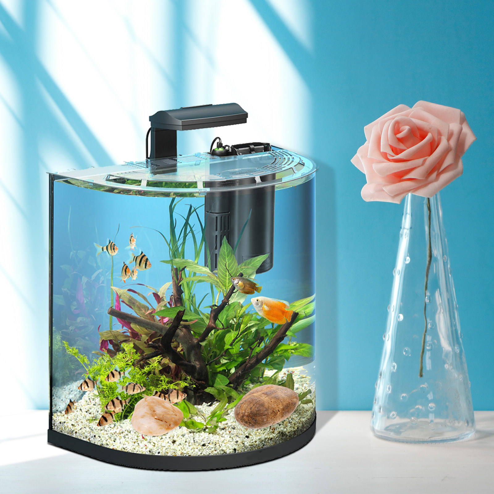 1Set Aquarium Pebbles Natural  - Aquarium Fish Pot บทวิจารณ์และราคา