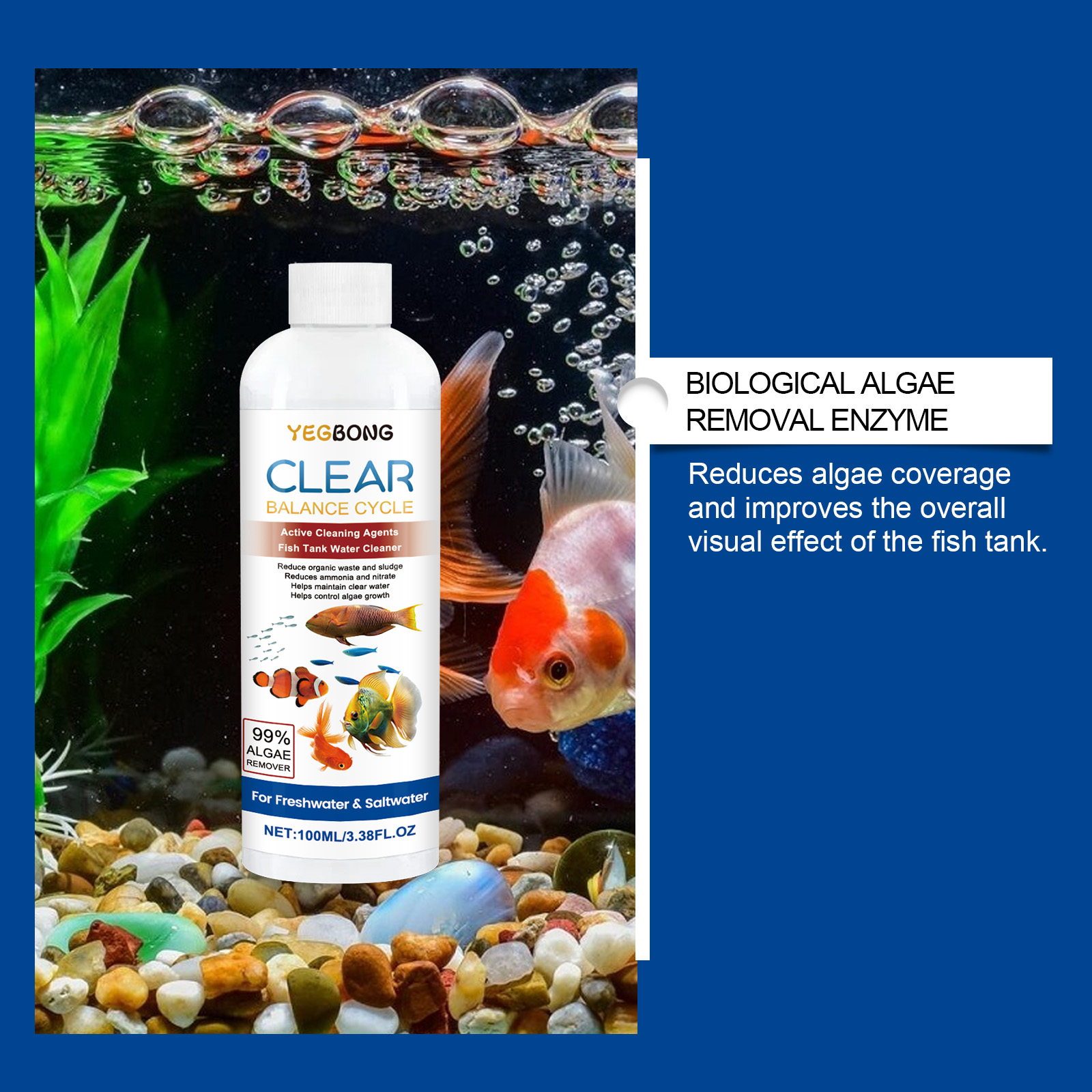 Algae Remover for Fish Tanks,  - Aquarium Fish Quality บทวิจารณ์และราคา