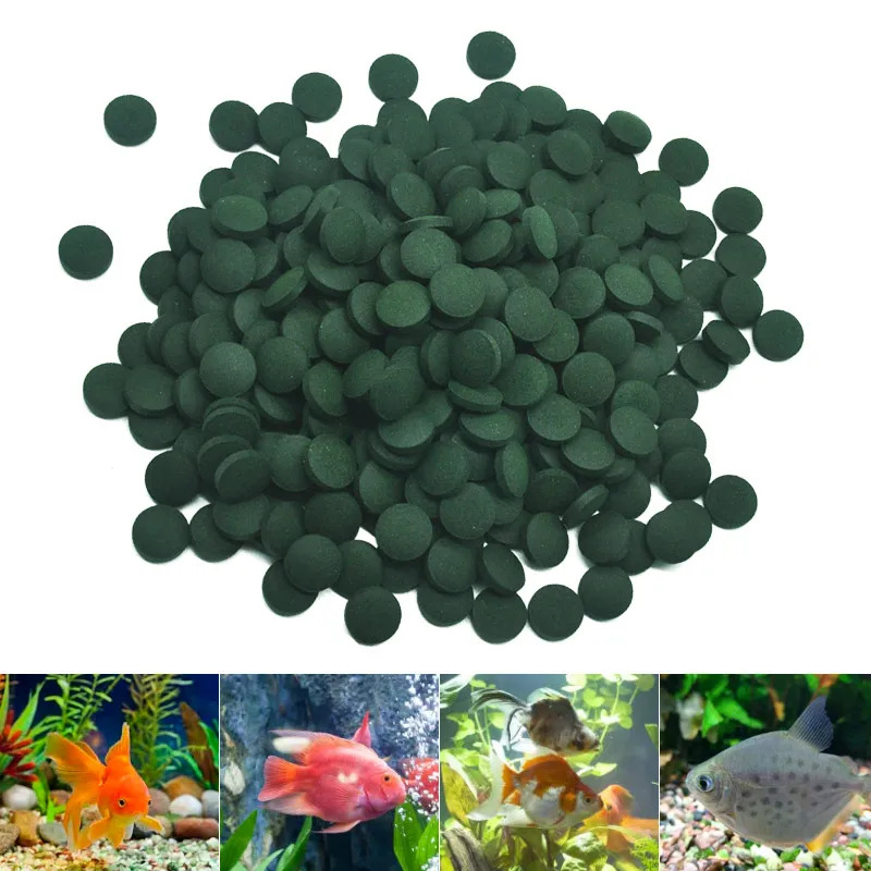 100/500/1000PCS Spirulina Flak - Fish Food Flake บทวิจารณ์และราคา