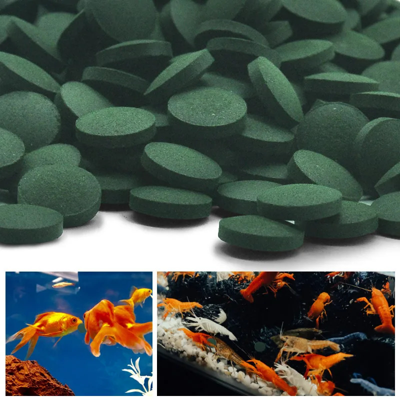 100/500/1000PCS Spirulina Flak - Fish Food Flake บทวิจารณ์และราคา