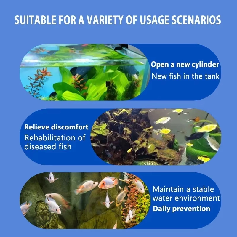 Multi-functional Fish Medicine - Aquarium Fish Medicine บทวิจารณ์และราคา