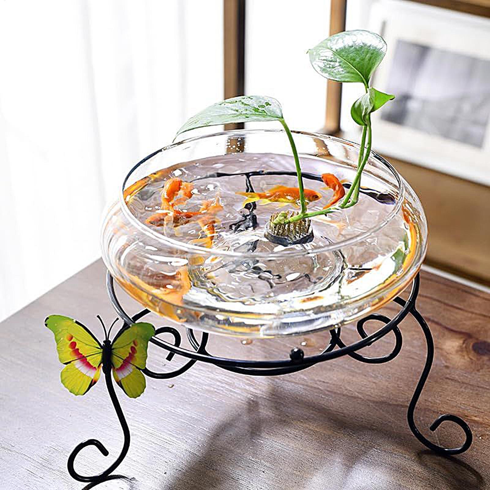 Fish Glass Bowl Glass Large Hy - Aquarium Fish Pot บทวิจารณ์และราคา