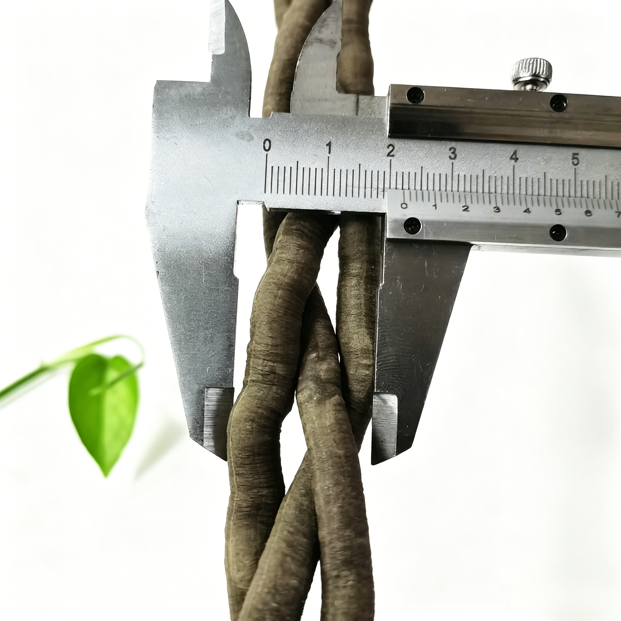 100cm Artificial Vine Fake Pla - Aquarium Fish Buy บทวิจารณ์และราคา