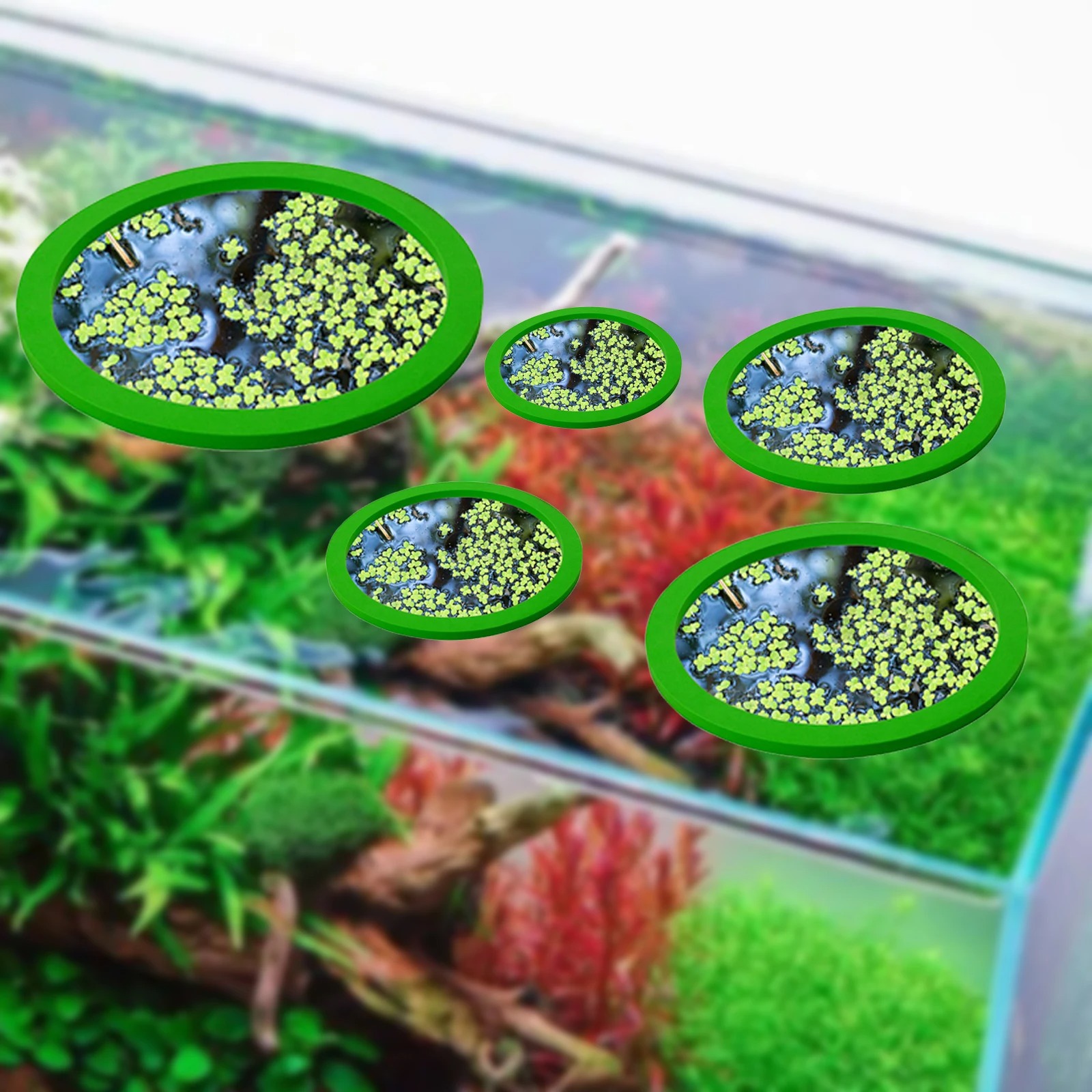 5Pcs EVA Fish Feeding Ring Aqu - Fish Aquarium Home บทวิจารณ์และราคา