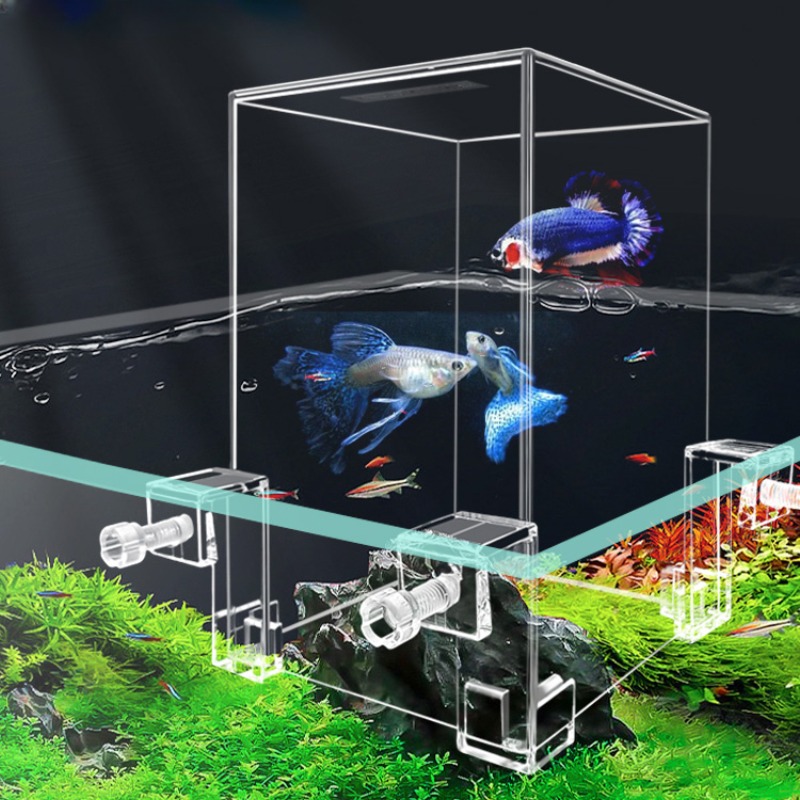 Creative Aquarium Tanks Negati - Aquarium Fish Pot บทวิจารณ์และราคา