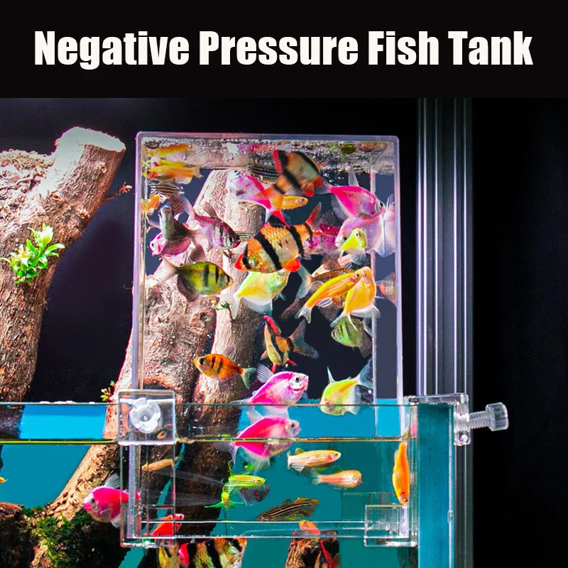 Creative Aquarium Tanks Negati - Aquarium Fish Pot บทวิจารณ์และราคา