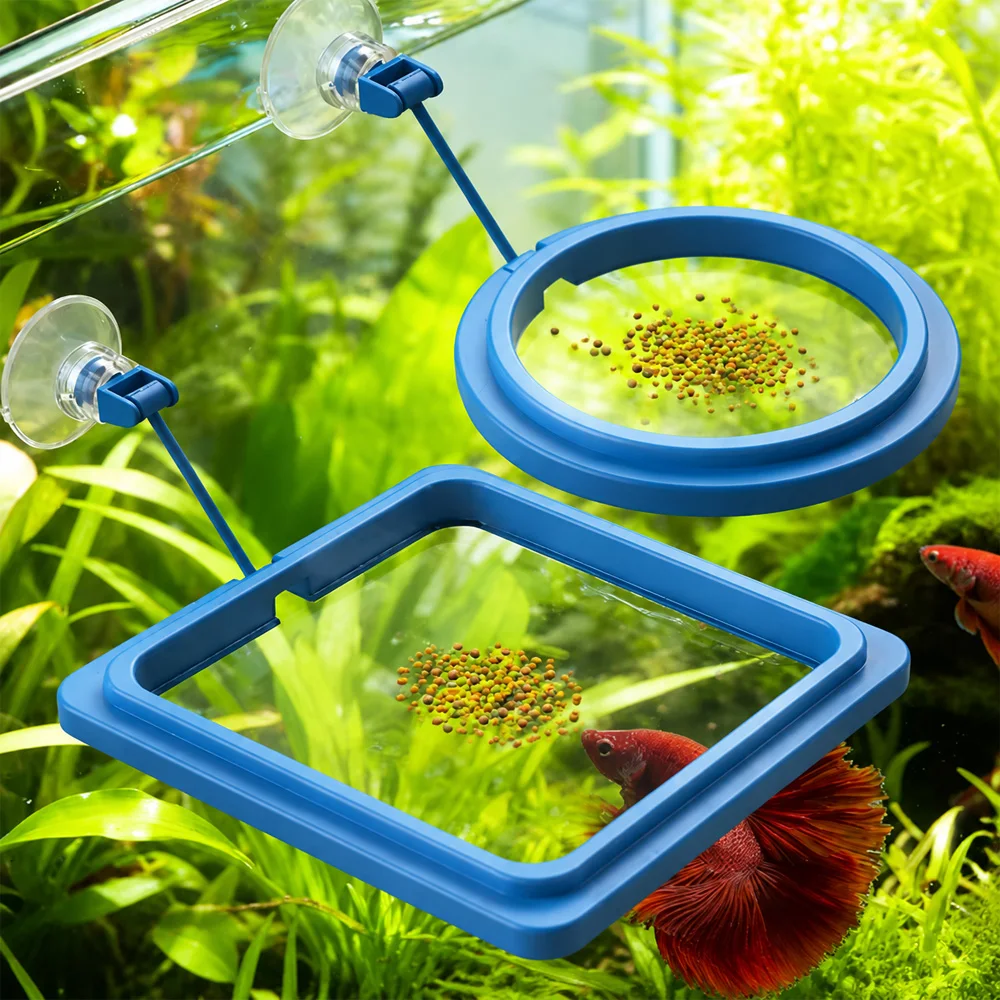 Betta Fish Food Floating Mini  - Aquarium Fish Medicine บทวิจารณ์และราคา