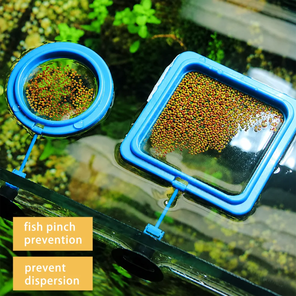 Betta Fish Food Floating Mini  - Aquarium Fish Medicine บทวิจารณ์และราคา