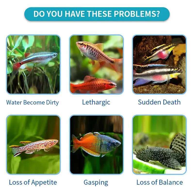 100pcs Nitrite Nitrate Chlorin - Aquarium Fish Quality บทวิจารณ์และราคา