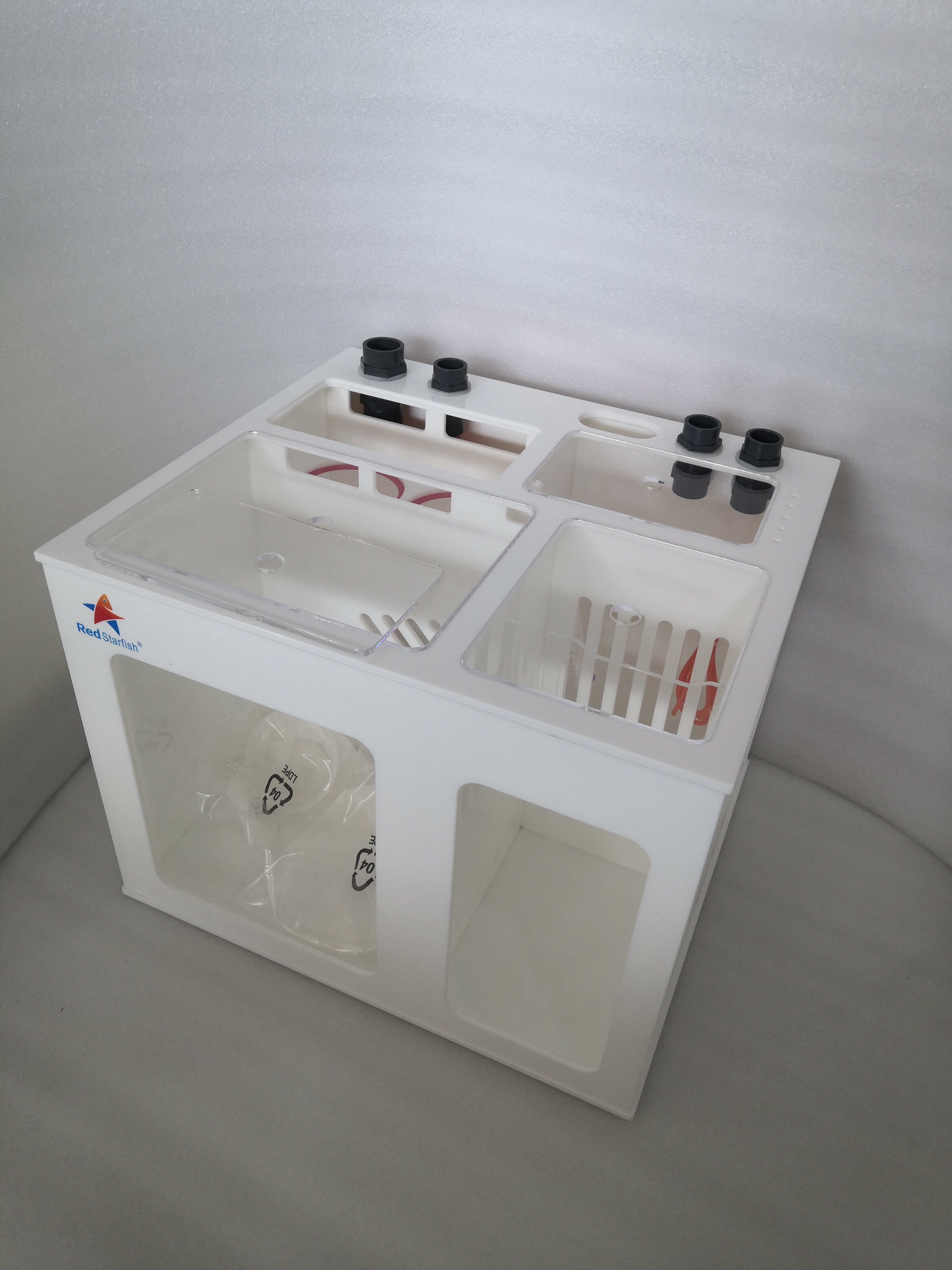 HOTRed Starfish OEM LOGO Saltw - Aquarium Fish Logo บทวิจารณ์และราคา