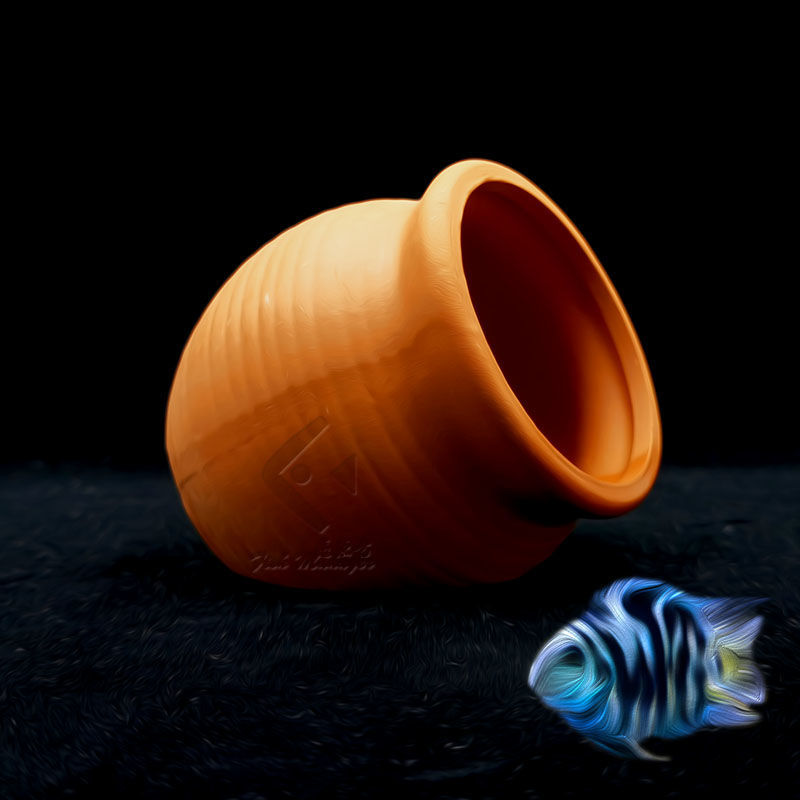 Aquarium Mini Ceramic Tank Fis - Aquarium Fish Pot บทวิจารณ์และราคา
