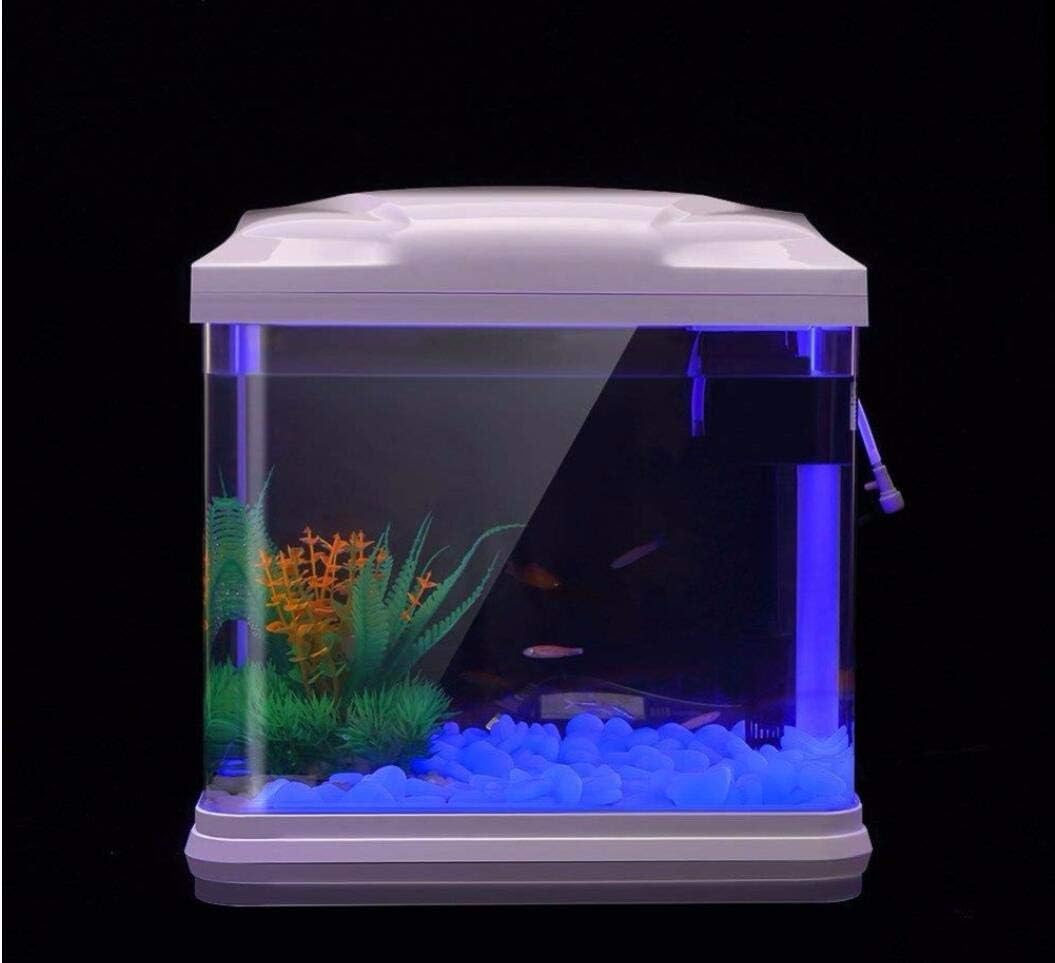 Fish Tank Rocks Glow Blue Pebb - Aquarium Fish Buy บทวิจารณ์และราคา