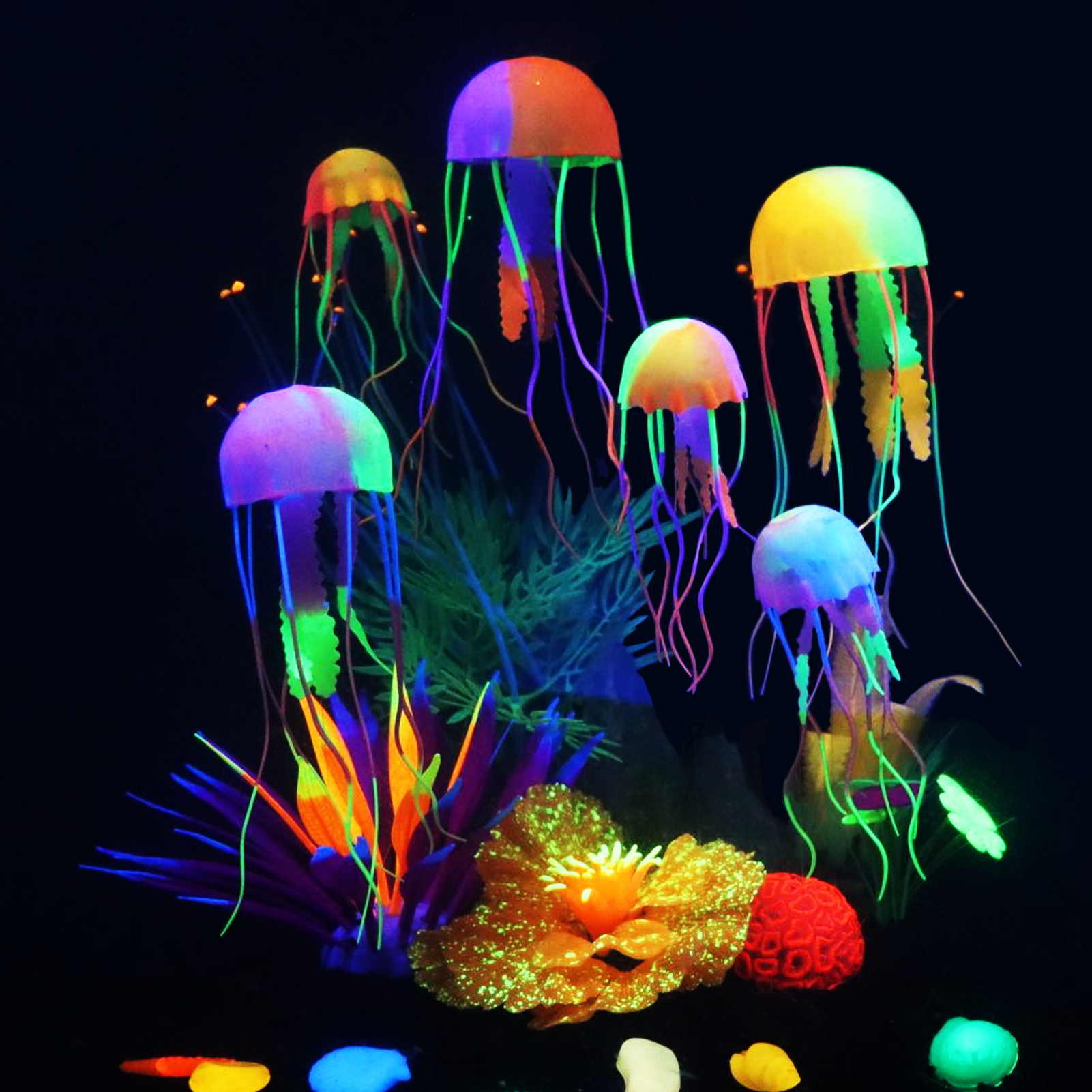 6 Pieces Colorful Jellyfish Se - Aquarium Fish Discus บทวิจารณ์และราคา