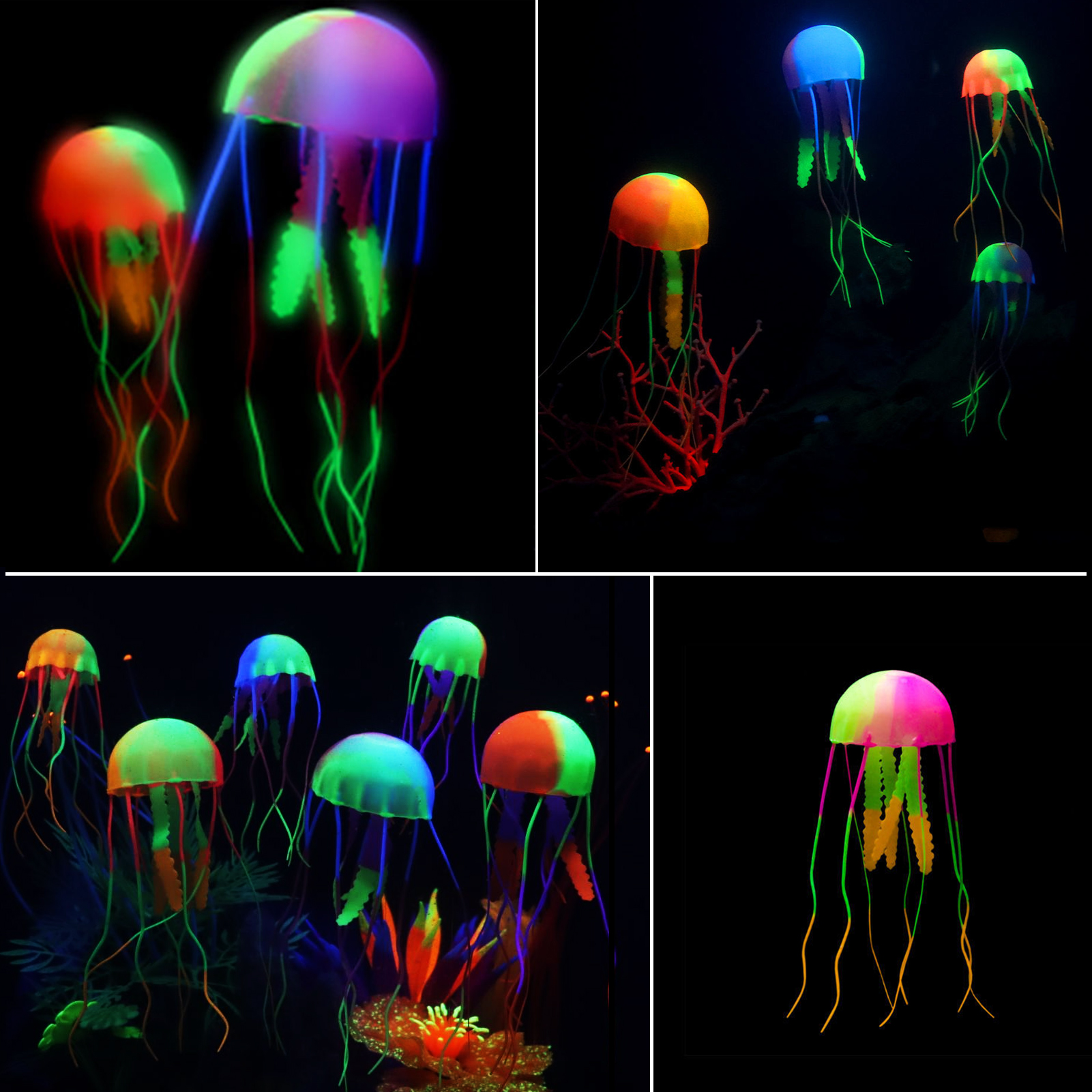6 Pieces Colorful Jellyfish Se - Aquarium Fish Discus บทวิจารณ์และราคา