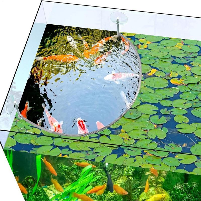 Floating Plant Corral Fish Fee - Aquarium Fish Quality บทวิจารณ์และราคา
