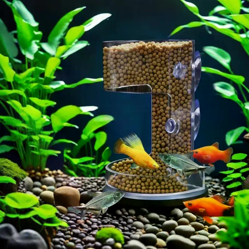 Aquarium Feeder Ring Set - Flo - Aquarium Fish Medicine บทวิจารณ์และราคา