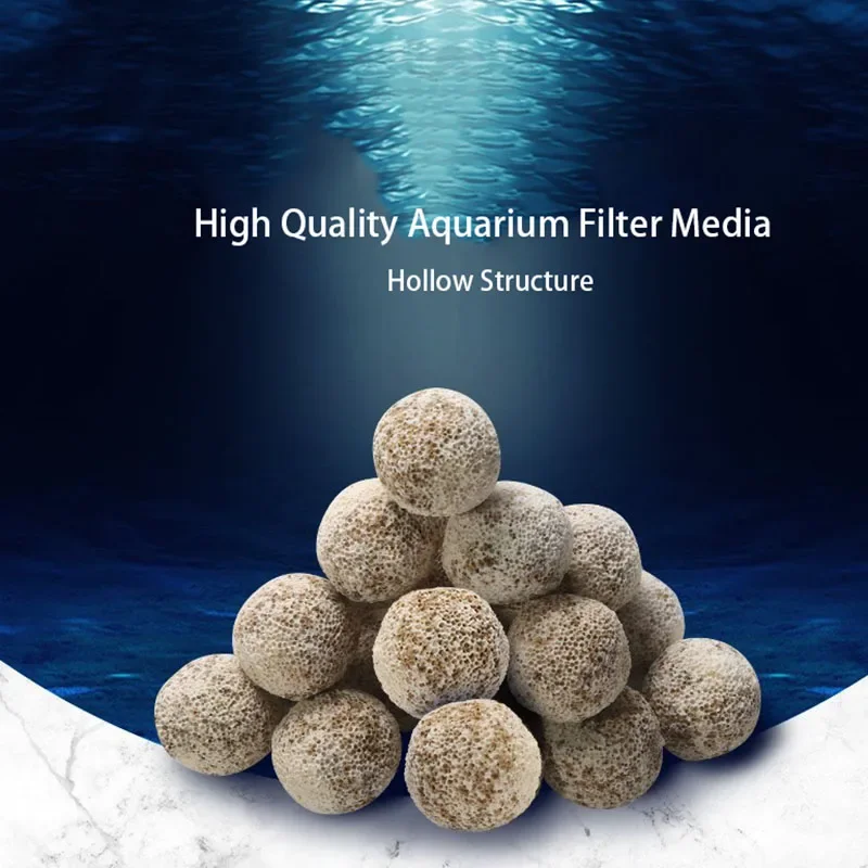 10pcs 20pcs High Quality  Aqua - Aquarium Fish Quality บทวิจารณ์และราคา