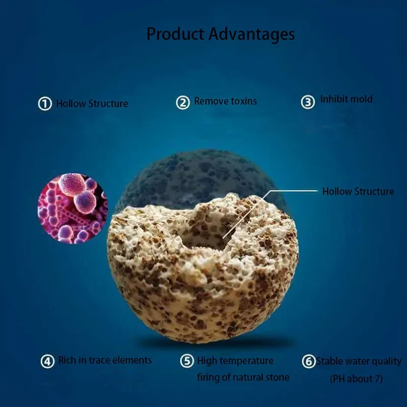 10pcs 20pcs High Quality  Aqua - Aquarium Fish Quality บทวิจารณ์และราคา