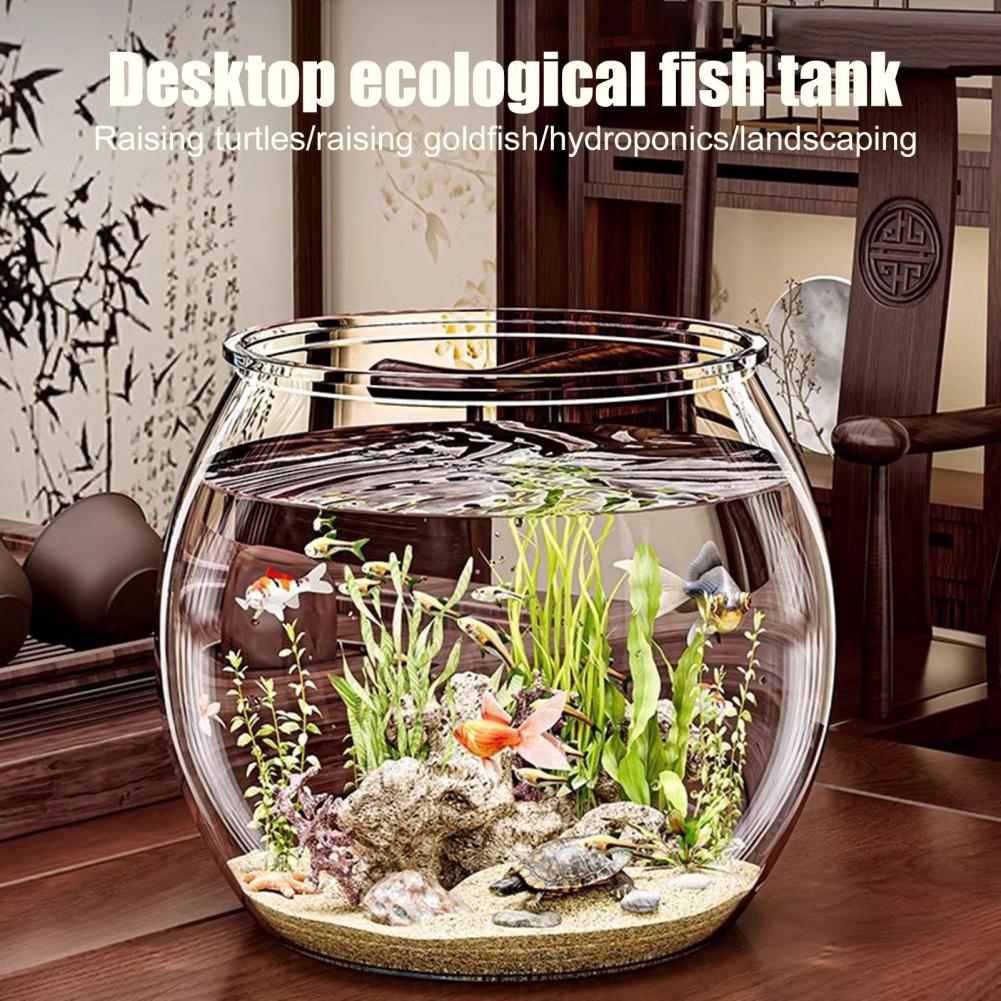 Clear Plastic round Fish Bowl  - Aquarium Fish Pot บทวิจารณ์และราคา